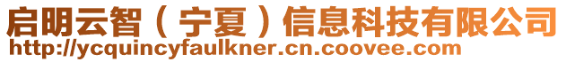 啟明云智(寧夏)信息科技有限公司
