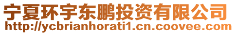 寧夏環(huán)宇東鵬投資有限公司