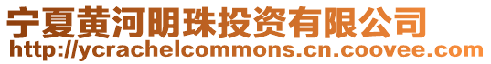 寧夏黃河明珠投資有限公司