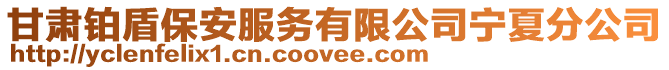 甘肅鉑盾保安服務(wù)有限公司寧夏分公司