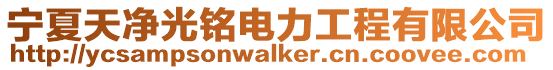 寧夏天凈光銘電力工程有限公司
