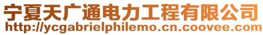 寧夏天廣通電力工程有限公司
