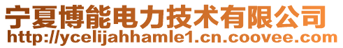 寧夏博能電力技術有限公司