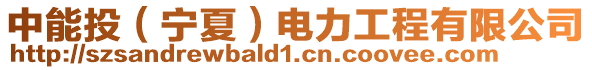 中能投(寧夏)電力工程有限公司