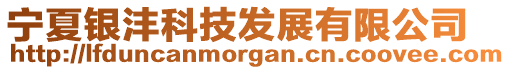 寧夏銀灃科技發展有限公司