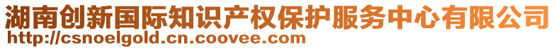 湖南创新国际知识产权保护服务中心有限公司