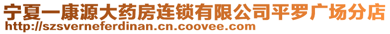 寧夏一康源大藥房連鎖有限公司平羅廣場分店