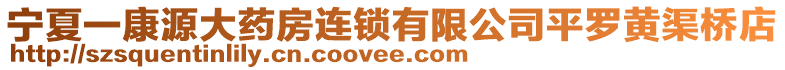 寧夏一康源大藥房連鎖有限公司平羅黃渠橋店