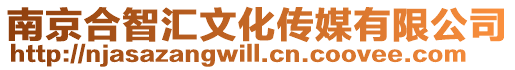 南京合智匯文化傳媒有限公司