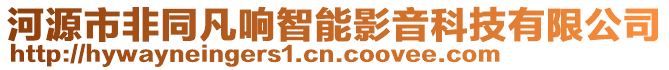 河源市非同凡響智能影音科技有限公司