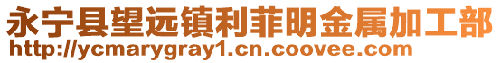 永寧縣望遠(yuǎn)鎮(zhèn)利菲明金屬加工部