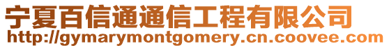 寧夏百信通通信工程有限公司