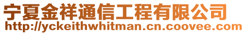 寧夏金祥通信工程有限公司
