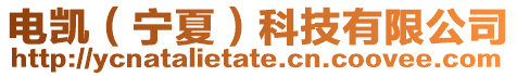 電凱(寧夏)科技有限公司