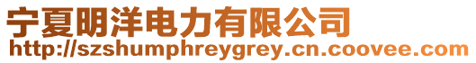 寧夏明洋電力有限公司