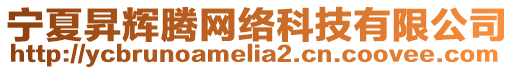 寧夏昇輝騰網絡科技有限公司