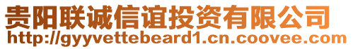 貴陽聯誠信誼投資有限公司