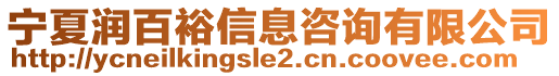 寧夏潤百裕信息咨詢有限公司