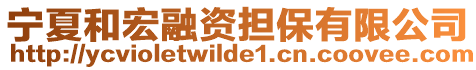 寧夏和宏融資擔(dān)保有限公司