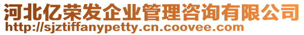 河北億榮發(fā)企業(yè)管理咨詢有限公司