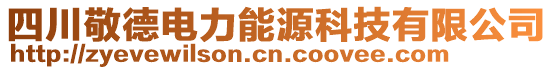 四川敬德電力能源科技有限公司