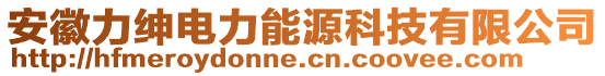 安徽力紳電力能源科技有限公司