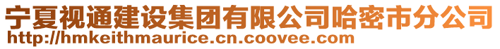 寧夏視通建設(shè)集團(tuán)有限公司哈密市分公司