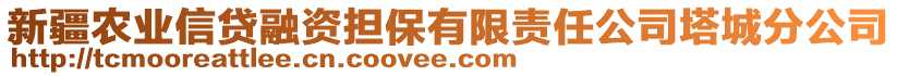 新疆農(nóng)業(yè)信貸融資擔(dān)保有限責(zé)任公司塔城分公司