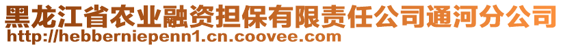 黑龍江省農(nóng)業(yè)融資擔(dān)保有限責(zé)任公司通河分公司