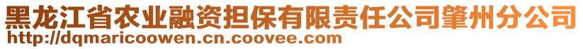 黑龍江省農(nóng)業(yè)融資擔(dān)保有限責(zé)任公司肇州分公司