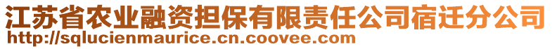 江蘇省農(nóng)業(yè)融資擔(dān)保有限責(zé)任公司宿遷分公司