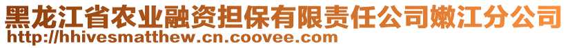 黑龍江省農業融資擔保有限責任公司嫩江分公司