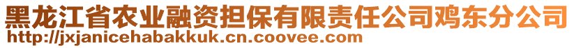 黑龍江省農(nóng)業(yè)融資擔(dān)保有限責(zé)任公司雞東分公司