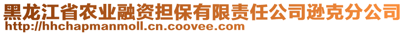 黑龍江省農(nóng)業(yè)融資擔(dān)保有限責(zé)任公司遜克分公司