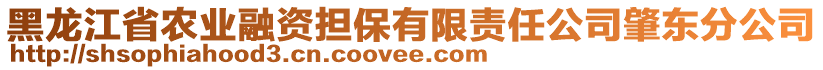 黑龍江省農(nóng)業(yè)融資擔(dān)保有限責(zé)任公司肇東分公司