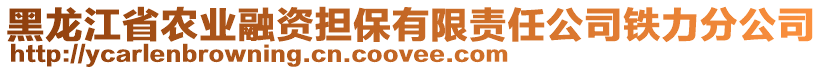 黑龍江省農(nóng)業(yè)融資擔保有限責任公司鐵力分公司