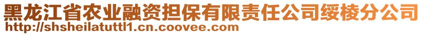 黑龍江省農(nóng)業(yè)融資擔(dān)保有限責(zé)任公司綏棱分公司