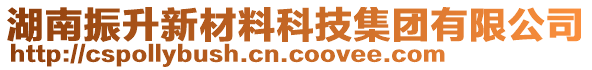 湖南振升新材料科技集團有限公司