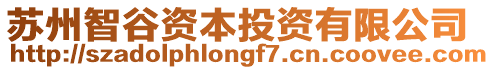 蘇州智谷資本投資有限公司