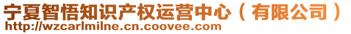 寧夏智悟知識產權運營中心(有限公司)