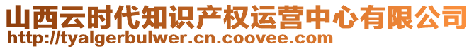 山西云時(shí)代知識(shí)產(chǎn)權(quán)運(yùn)營(yíng)中心有限公司