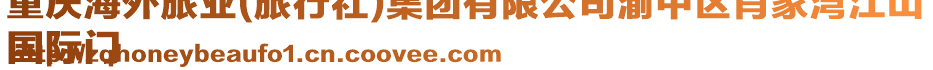 重慶海外旅業(yè)(旅行社)集團(tuán)有限公司渝中區(qū)肖家灣江山
國際門