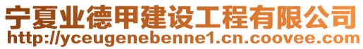 寧夏業德甲建設工程有限公司