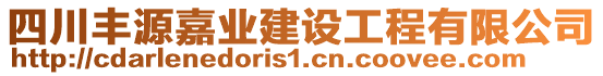 四川丰源嘉业建设工程有限公司