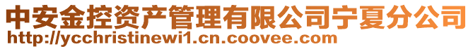 中安金控資產管理有限公司寧夏分公司