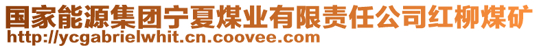 国家能源集团宁夏煤业有限责任公司红柳煤矿