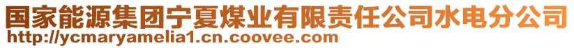 国家能源集团宁夏煤业有限责任公司水电分公司