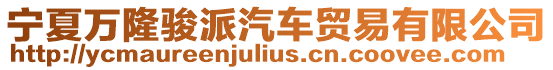 寧夏萬隆駿派汽車貿易有限公司