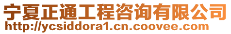 寧夏正通工程咨詢有限公司