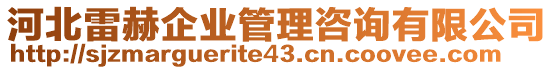 河北雷赫企業(yè)管理咨詢有限公司